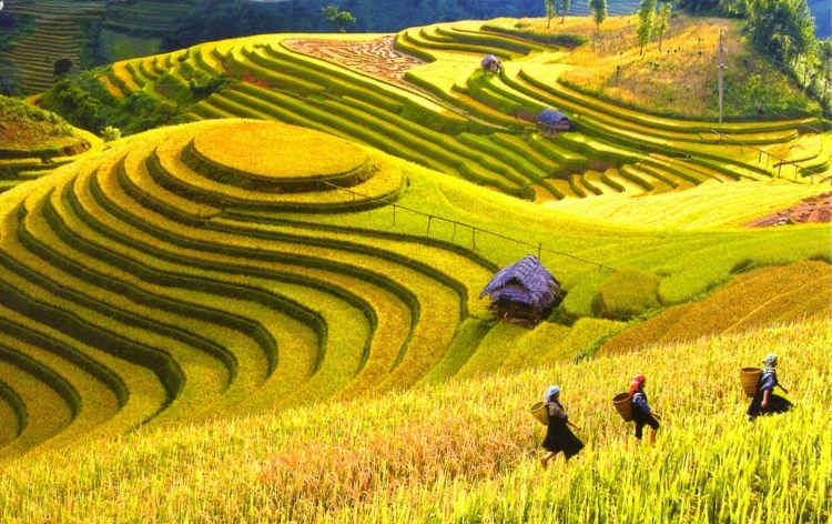 mach ban nhung dia diem san mua vang dep nhat tay bac