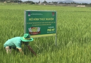 Tuổi trẻ PVFCCo trong công tác tái tạo văn hóa