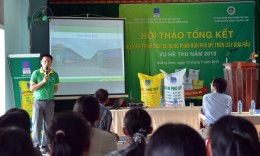 Cây dưa hấu ưa phân bón Phú Mỹ!