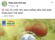 PVFCCo: Hiệu quả truyền thông từ việc kết hợp phương tiện truyền thống và hiện đại, số